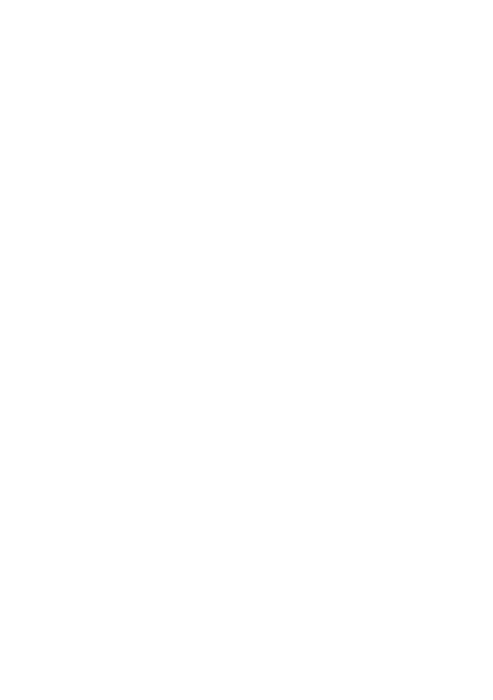 Govern Now Icon