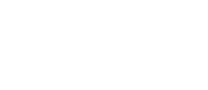 Governing for the Future